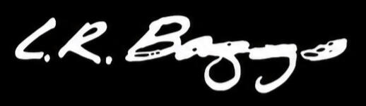 L.R. Baggs Acoustic Guitar Electronics Shop L.R. Baggs acoustic guitar electronics at Universal Music Supply